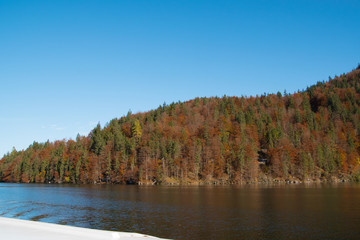 Herbstwald am See