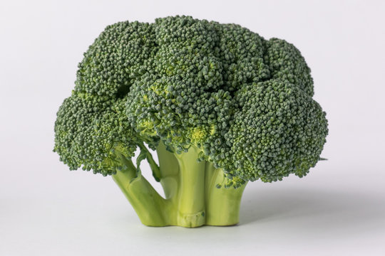 Broccoli isolated on white background / Sprig of broccoli as pattern of bonsai trees