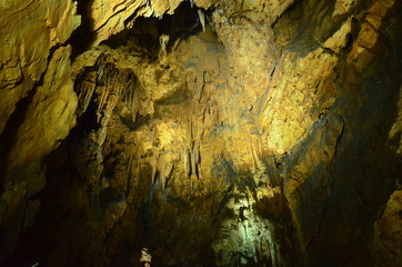日本 山口県 美祢市 特別天然記念物 秋芳洞 Japan Yamaguchi Nine city Special natural monument Akiyoshido