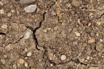 Cracked ground as a global warming and drought concept