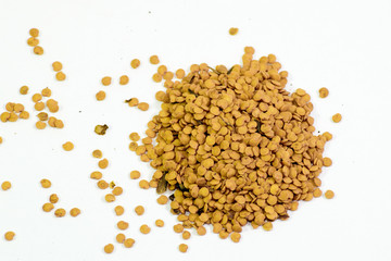 Seeds of tomato. Seeds suspended for sowing. Tomato seeds.