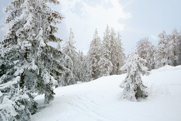 Beautiful winter mountains landscape in morning.