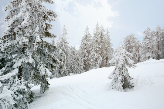 Beautiful winter mountains landscape in morning.