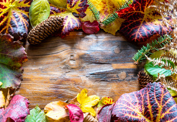 wooden background framed by many different leaves in autumn colors and pine cones and ferns