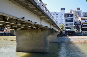 日本 京都 風景 四条周辺 鴨川 Japan Kyoto city Landscape Around Shijo  Kamogawa river