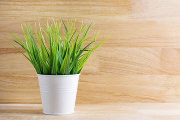 grass plastic in white pot color with sunshine on wooden background.