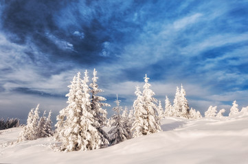 Fantastic winter landscape