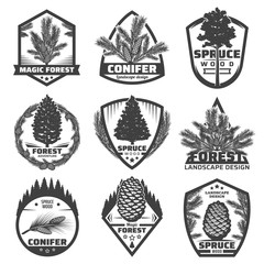 Vintage Monochrome Conifers Labels Set