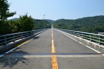 日本 徳島県 三好市 祖谷渓（いやだに、いやけい）祖谷渓谷 かずら橋 Japan Shikoku Tokushima Miyoshi city Iya Valley vine bridge