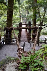 日本 徳島県 三好市 祖谷渓（いやだに、いやけい）祖谷渓谷 かずら橋 Japan Shikoku Tokushima Miyoshi city Iya Valley vine bridge