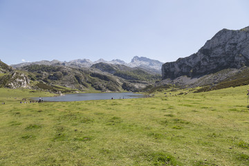 Fototapeta na wymiar lake of covadonga in asturias.