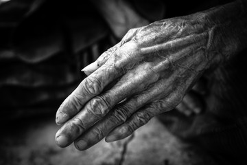 Fototapeta premium Old woman hands