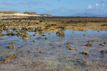 Bright background of sand and sky. Atlantic ocean sand and water ripple pattern. Desert prints