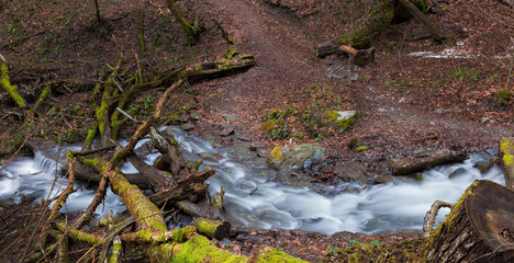 Hiking trail and a mountain stream, the trees and rocks covered with moss in autumn forest. Resort Rosa Khutor, Sochi, Russia.