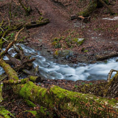 Hiking trail and a mountain stream, the trees and rocks covered with moss in autumn forest. Resort Rosa Khutor, Sochi, Russia.