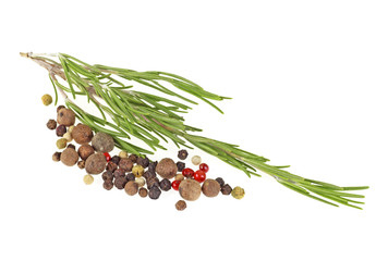 Peppercorns and rosemary herb spice leaves on white background