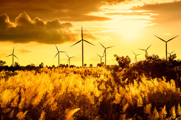 Eco power, wind turbines at sunset