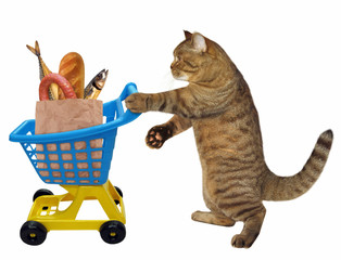 Fototapeta na wymiar The cat rolls a shopping cart with food. White background.