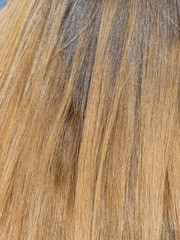 woman with blond long hair