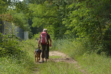 Fototapeta premium eine frau mit hund wandert auf einem naturweg