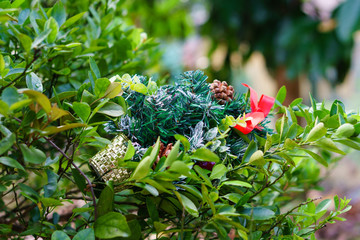 Christmas tree decoration on leafs with nature blurred background