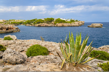 Die Felsenküste von Cala D'or