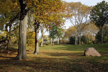 Fototapeta premium Autumn in Central Park, New York, USA