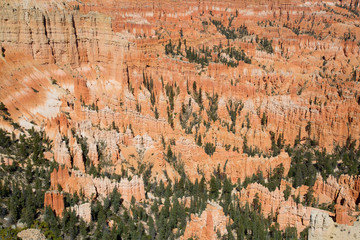 Bryce canyon