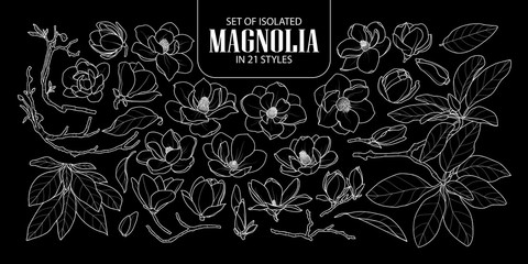 Set of isolated magnolia in 21 styles. Cute hand drawn flower vector illustration only white outline. © Plawarn