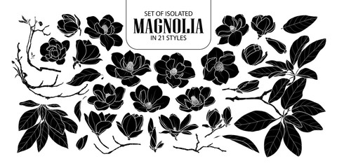 Set of isolated silhouette magnolia in 21 styles. Cute hand drawn flower vector illustration in white outline and black plane. - obrazy, fototapety, plakaty