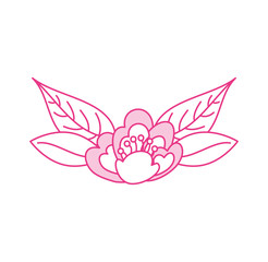 cherry flower leaves nature delicate bloom vector illustration