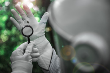 Creation of nature. Close up of male hands holding magnifying glass and small insect