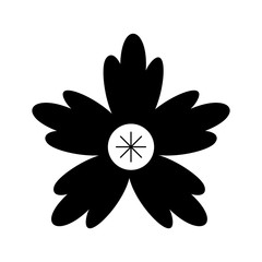 crocus flower natural decoration ornament vector illustration