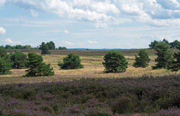 mehlinger heide