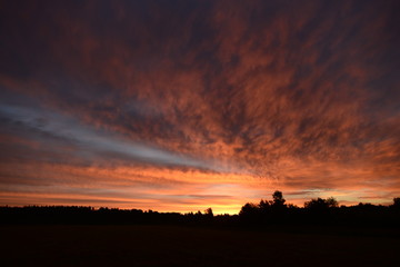 Beautiful colorful sky over the forest at dawn