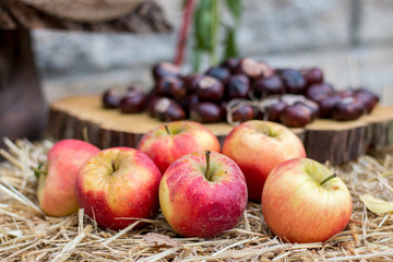 Naklejka na ściany i meble Herbstmarkt mit Äpfeln und Kastanien auf Strohballen