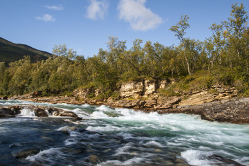 Rapid waters of the lower run of the Abisko river - obrazy, fototapety, plakaty