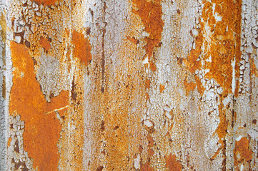 Rusty metal sheet with exfoliating white paint