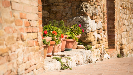 Fototapeta na wymiar San Gimignano - Blumentöpfe
