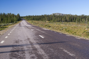 A road across vast swamps of the Muddus National Park above the polar circle - obrazy, fototapety, plakaty