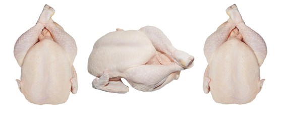 Fresh chicken on isolated white background