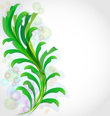 Green leaf plant background vector