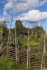 Fototapeta na wymiar A traditional Swedish fencing around a vegetable garden