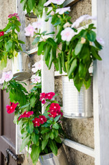 Ecological reuse. Tin cans transformed into flower pots and hung on the exterior  wall of a house on a wooden platform.