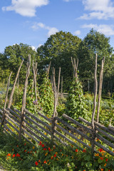 A traditional Swedish fencing around a vegetable garden