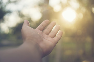 abstract picture of nature hand with sunlight