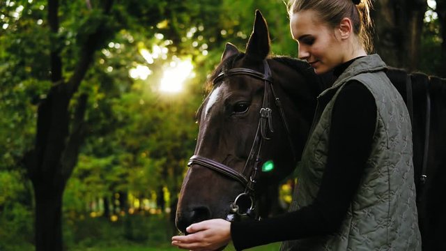 Lens flare in the forest: young beautiful woman petting brown horse on a sunny day