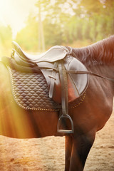 Detail of a horse saddle