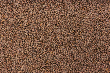 Brown lentils background