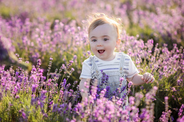 Beautiful child in a field of lavender on sunset. 